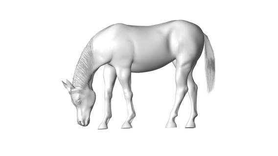 cavalo 3d print model - Mito3D