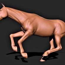 caballo 007 3d print model - Mito3D
