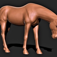 caballo 008 3d print model - Mito3D