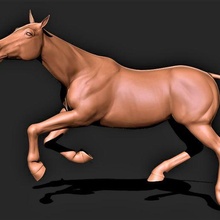 cavalo 009 3d print model - Mito3D