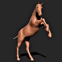 caballo 010 3d print model - Mito3D