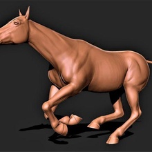 horse 011 3d print model - Mito3D