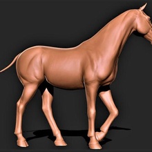 caballo 012 3d print model - Mito3D