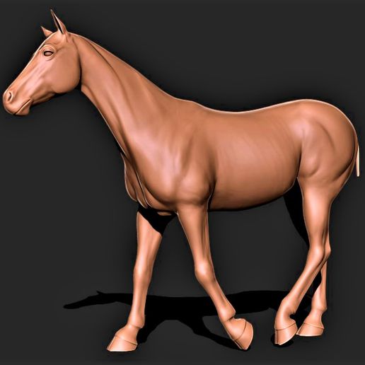 cavallo 013 3D print model - Mito3D