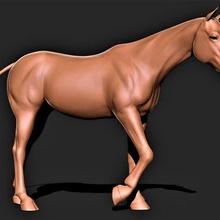 cavalo 015 3d print model - Mito3D
