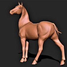 cavalo 016 3d print model - Mito3D