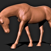 cavalo 017 3d print model - Mito3D