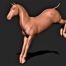 Pferd 018 3d print model - Mito3D