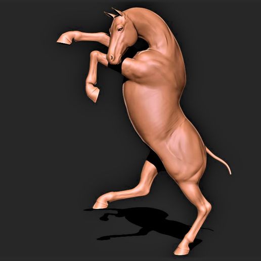cavallo 019 3D print model - Mito3D