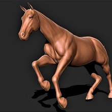 cheval 020 3d print model - Mito3D