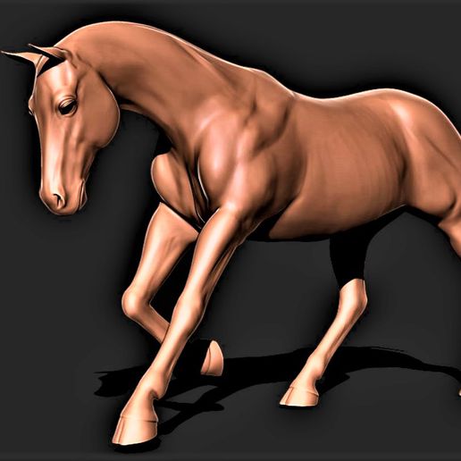 cavallo 025 3D print model - Mito3D