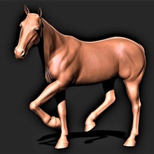 horse 026 3d print model - Mito3D