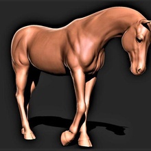 horse 033 3d print model - Mito3D