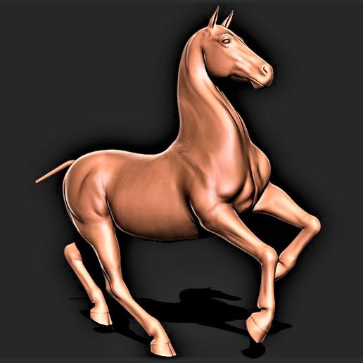 cavallo 035 3D print model - Mito3D