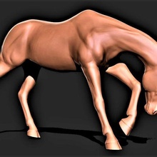 horse 036 3d print model - Mito3D