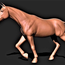 cheval 038 3d print model - Mito3D