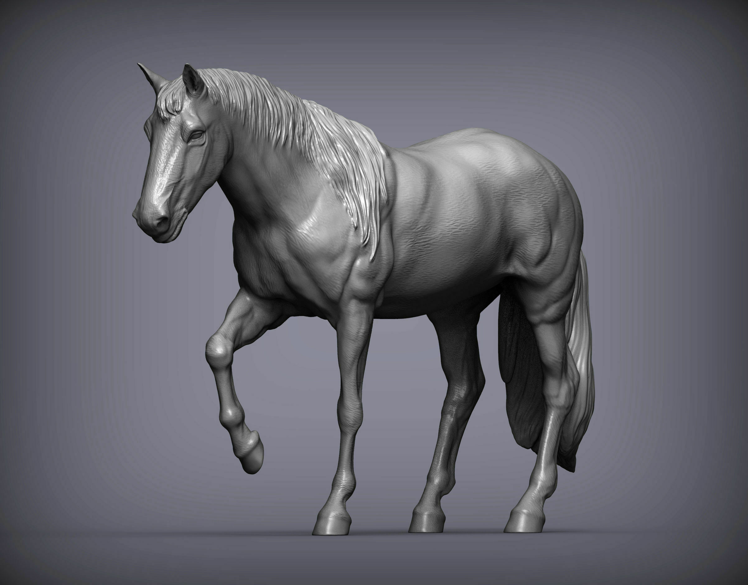 cheval 3d impression modèle animal nature jument étalon mammifère sculpture statuette souvenir présent temps chapitre sculpter art sculptures 3D print model - Mito3D