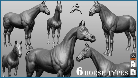 horse breeds collection animal domestic zbrush 3d print model - Mito3D