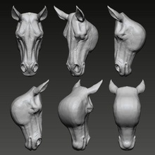 cheval tête sculpture art animal nature jument étalon équidé 3d impression sculpturesouvenir sculptures 3d print model - Mito3D