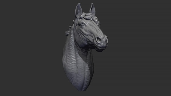 cavallo criniera arte animale testa zbrush scolpire 3d modello mammifero animali natura 3dprinting sculture 3d print model - Mito3D