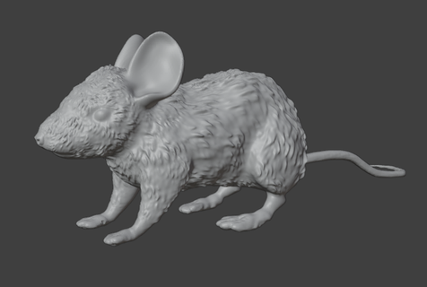 house mouse 3d print model - Mito3D