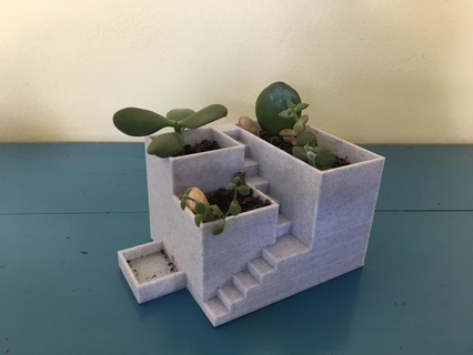 Casa pianta pentola vaso succulenta impianti 3d print model - Mito3D