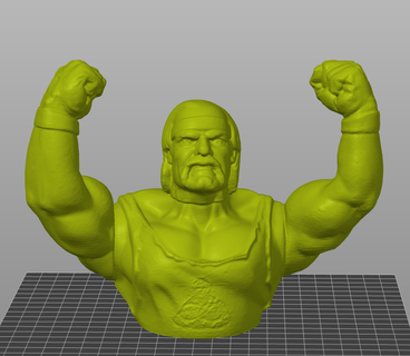 casco hogan busto juego wwf Figura acción jugando titán Hulk Hogan 3d print model - Mito3D