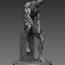 umano anatomia arte decorare figura 3d print model - Mito3D