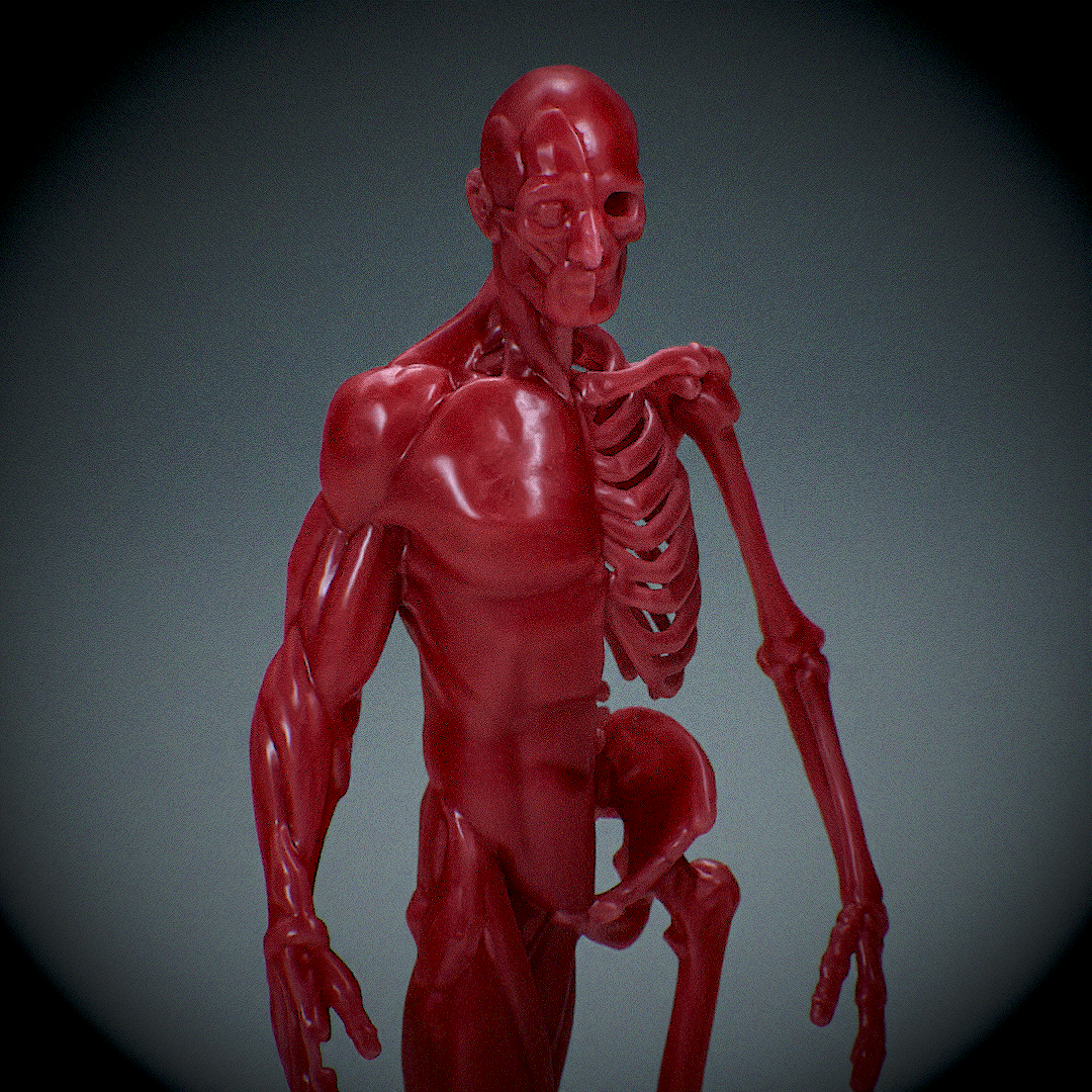 humano anatomia pronto impressão Bruxas abóbora corpo 3D print model - Mito3D