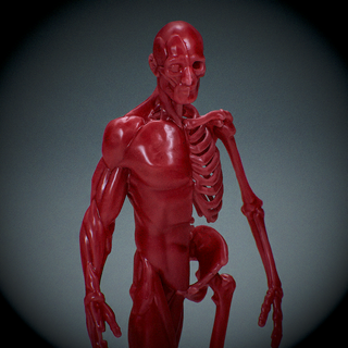 insan anatomi hazır Yazdır cadılar bayramı kabak vücut 3d print model - Mito3D
