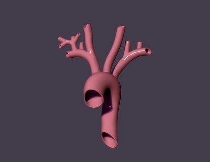 insan aort kalp gemiler kan anatomi koroner damar ilaç vücut Bilim arter bilim 3dprint tıbbi Biyoloji aşk tanrısı 3d print model - Mito3D