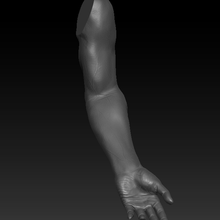 humano braço 3d print model - Mito3D