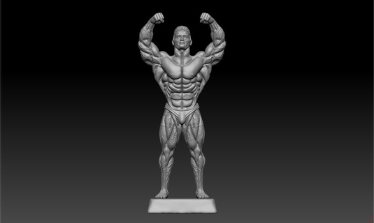human body builder shield price cup anotomy character man male people gym gymmer cartoon game art sculptures 3d print model - Mito3D