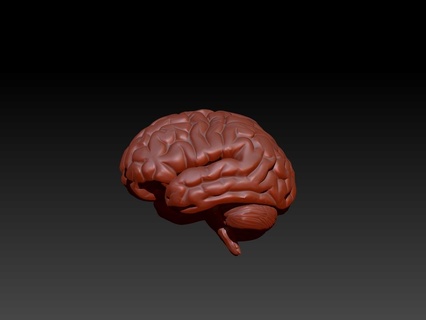 Gehirn Kunst 3dmodel zbrush 3d print model - Mito3D