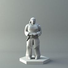 homme d&d miniatures jeu 3d print model - Mito3D