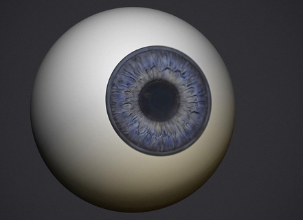 humano olho anatomia íris convexo côncavo Ciência biologia corpo 3d print model - Mito3D