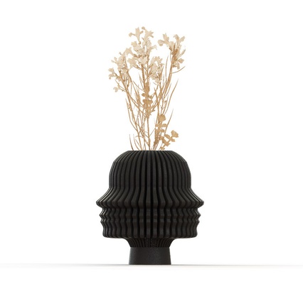 humano cara vaso casa decoração projeto minimalista recipiente ilusão contemporâneo decorativo arte suporte armazenamento elegante luxo moda estilo designer artístico facial 3d print model - Mito3D