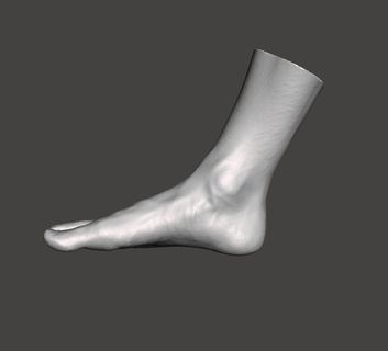 umano piede vari giusto 3d print model - Mito3D