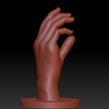 Humain main anatomie signe 3d print model - Mito3D