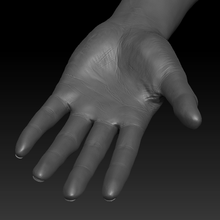 human hand 3d print model - Mito3D