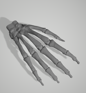 humano mão ossos cabide casa osso roupas cruzados filamento suporte carretel fone ouvido caneta crânio ferramenta parede 3d print model - Mito3D