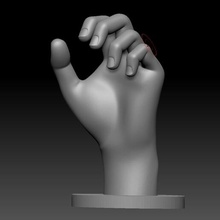 umano mano anatomia 3d print model - Mito3D