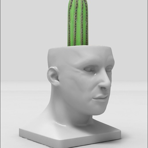 Humain tête planteur h100mm cactus 3D print model - Mito3D
