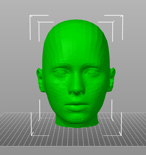 Kopf Gesicht Mannequin 3d print model - Mito3D