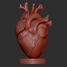 human heart art valentine love lobe organic true heartbeat latest gift 3d printing pritable 3d print model - Mito3D