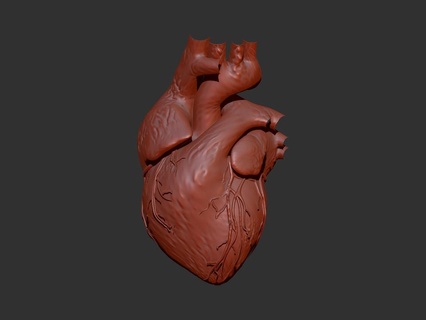 humano corazón Arte 3dmodel 3dprint zbrush 3d print model - Mito3D