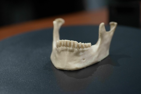 umano mandibola mascella stampabile pronto Stampa 3dlowerjaw lowerstl 3d print model - Mito3D