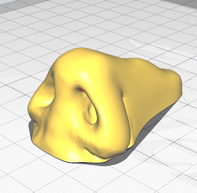 umano naso 3D print model - Mito3D