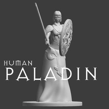 human paladin role game dungeons and dragons dyd 3d print model - Mito3D