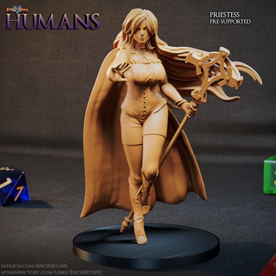 human priestess miniature - pre-supported game dragons dungeons female mini rpg sword character priest mage boardgame tabletop dnd pathfinder npc ttrpg 5e supported epicsnstuffs 3d print model - Mito3D